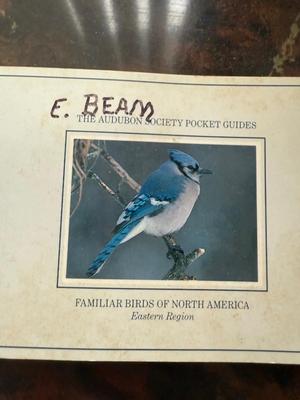 Birds and trees