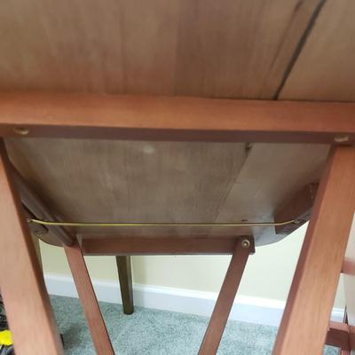 Four TV Trays With Stand (BS-KD)