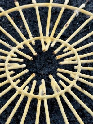 Vintage Metal Oyster/Clam/Egg Basket