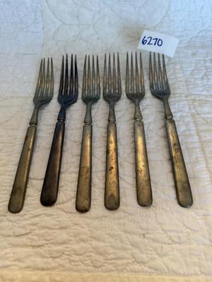 6 forks-Alaska