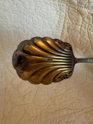 Royal plate co. Sugar shell spoon silver plate