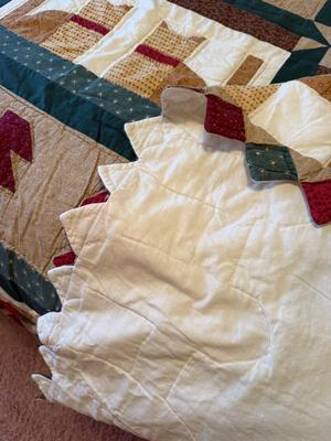 Adorable 90x100 light weight comforter