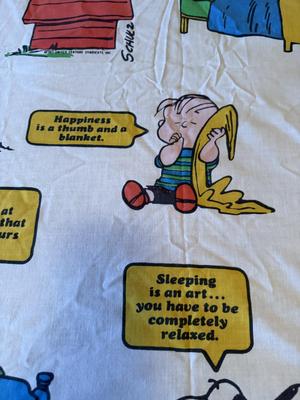 Snoopy twin size top sheet only