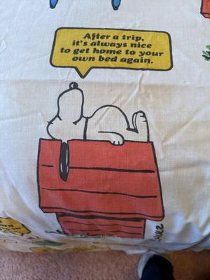 Snoopy twin size top sheet only