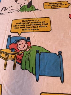 Snoopy twin size top sheet only