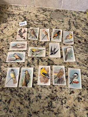 Arm & Hammer useful birds of America