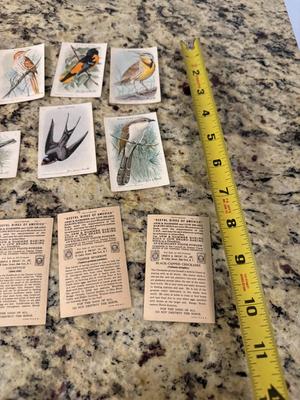 Arm & Hammer useful birds of America