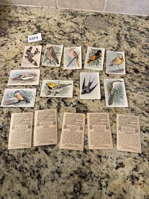 Arm & Hammer useful birds of America