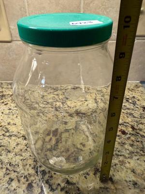 Giant glass jar with lid