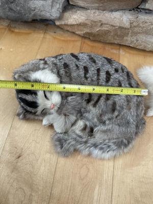 Furry Life-Like Kitty Cats / Figurines