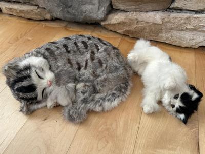 Furry Life-Like Kitty Cats / Figurines