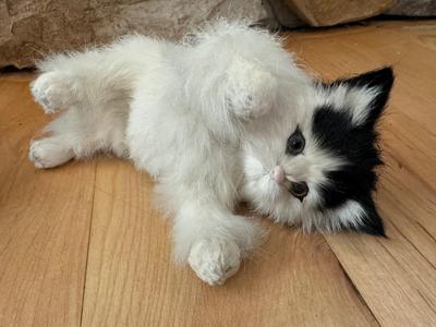 Furry Life-Like Kitty Cats / Figurines