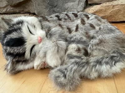 Furry Life-Like Kitty Cats / Figurines