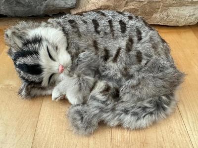 Furry Life-Like Kitty Cats / Figurines