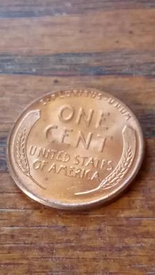LOT 41 1955 UNC WHEAT PENNY
