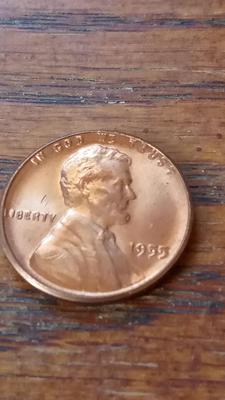 LOT 41 1955 UNC WHEAT PENNY