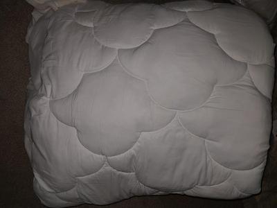 Serta Thick mattress pad & New Mattress Protecter