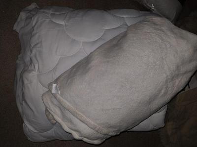 Serta Thick mattress pad & New Mattress Protecter