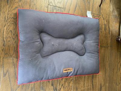 Navy Blue Dog Bed