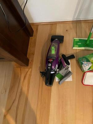 Bissel Pet Hair Remover