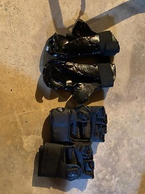 Martial Arts Workout Gloves