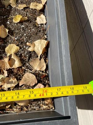 URBAN BLOOMER RESIN ELEVATED GARDEN BED