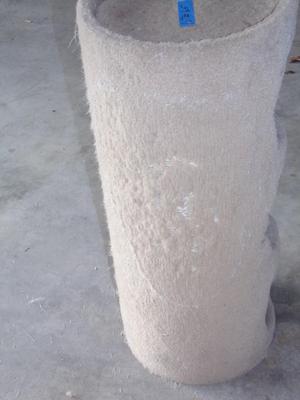 Cat house, carpeted
