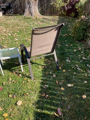 CHAISE LOUNGE, CHAIR AND TABLE