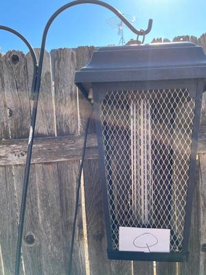 OUTDOOR BUG ZAPPER & DOUBLE SHEPHERD'S HOOK