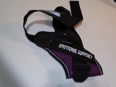 Dog harness