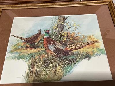 Wildlife framed pictures