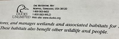 Wildlife framed pictures