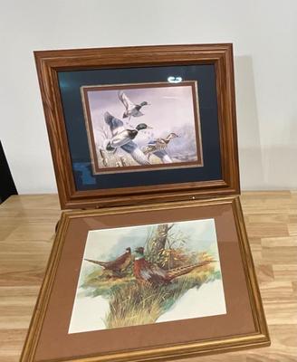 Wildlife framed pictures