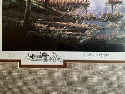 Framed Commemorative Print of Wildlife and stamp 25”x20” by Ken Zylla