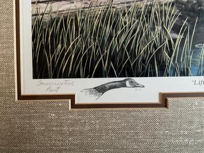 Framed commemorative Wildlife print with stamp by Ken Zylla 20”x25”