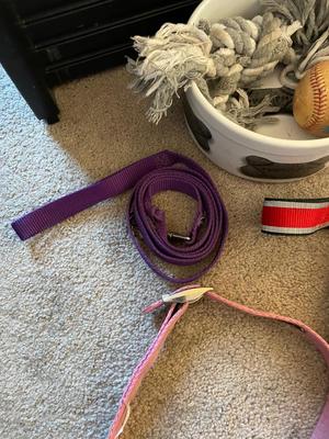 VARIETY OF DOG ITEMS PLUS FOLDING DOGGIE STAIRS
