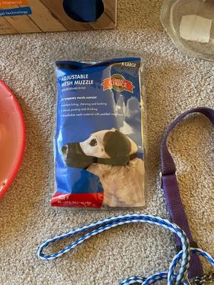 PAWSLIFE X LARGE COOLING PAD AND MORE