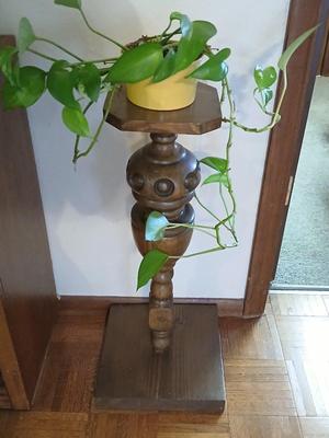 Small potted Live pathos plant on wooden stand and an oak mirrored wall shelf with hooks