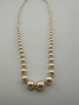 Pearl Necklace