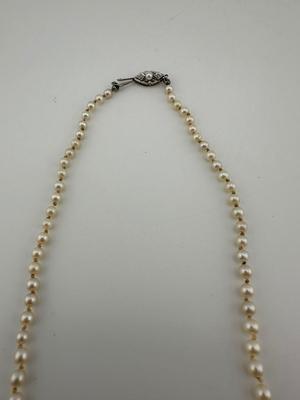 Pearl Necklace