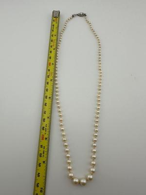 Pearl Necklace