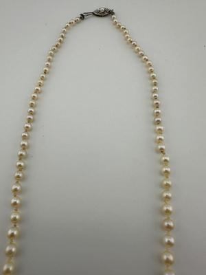 Pearl Necklace