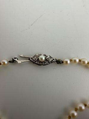 Pearl Necklace