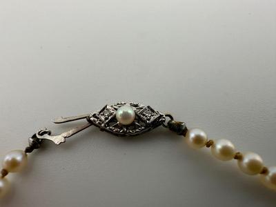 Pearl Necklace
