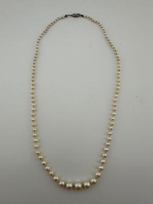 Pearl Necklace