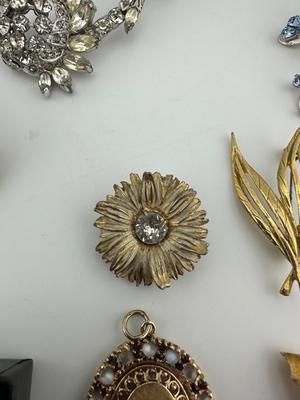 Decorative Brooch Lot