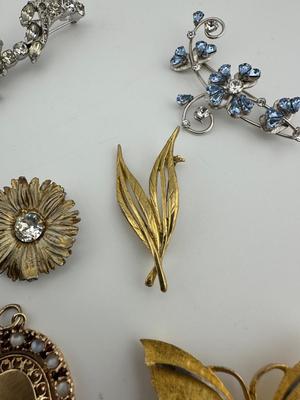 Decorative Brooch Lot