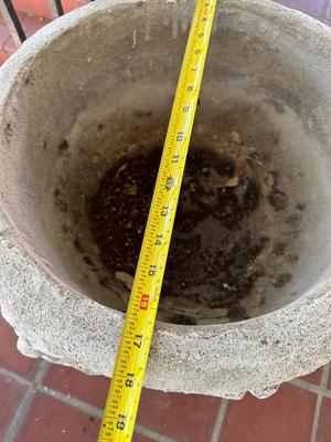 Large Cement Planter