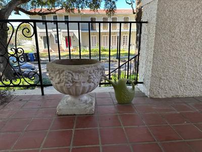 Large Cement Planter