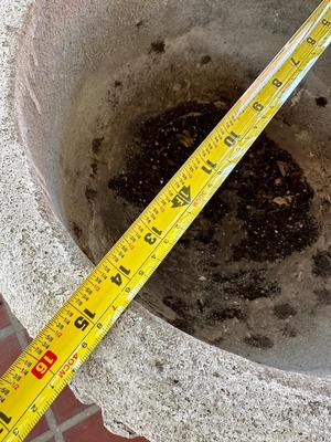 Large Cement Planter